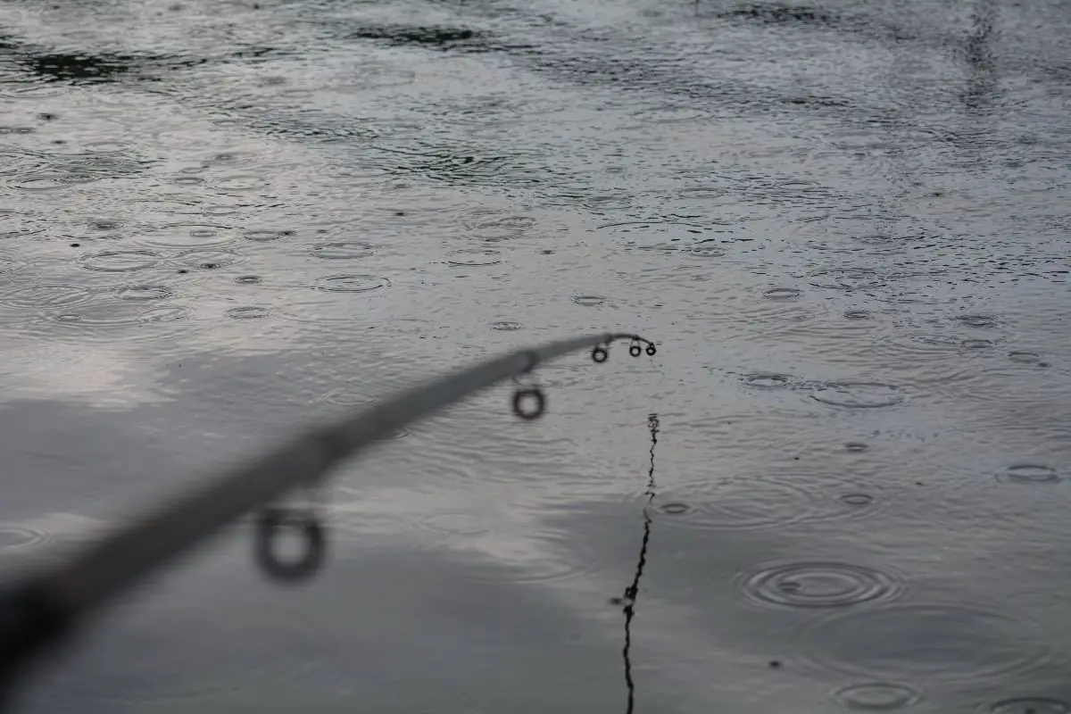 Do Fish Bite In The Rain? How Rain Affects Your Fishing
