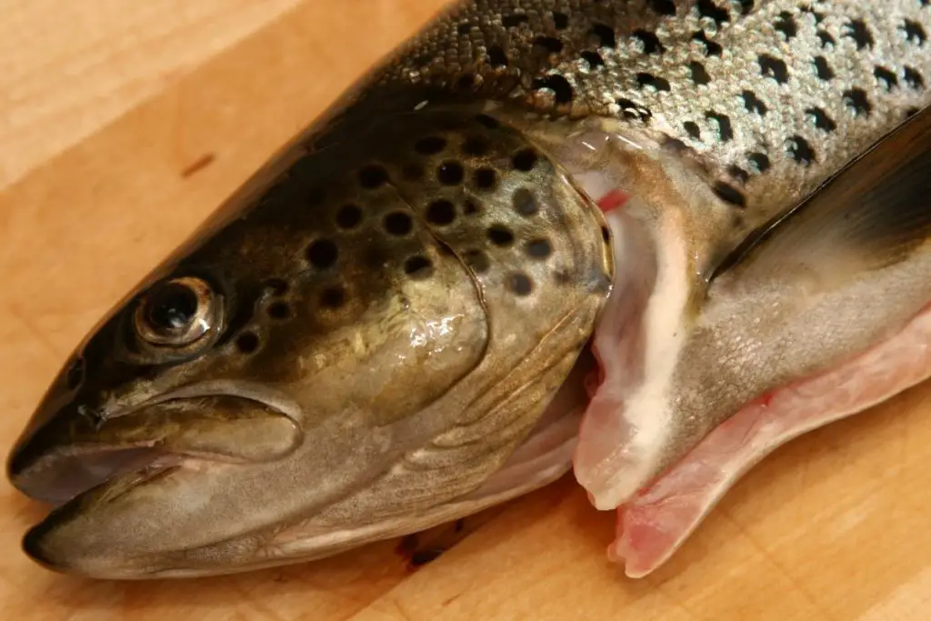 How To Clean A Trout