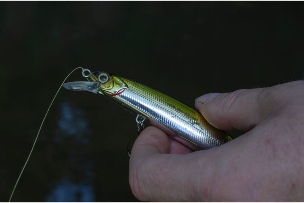 How To Hook A Minnow