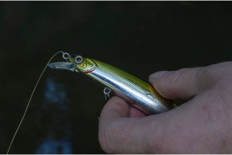 Best Methods To Hook A Minnow Without Killing It Like A Pro