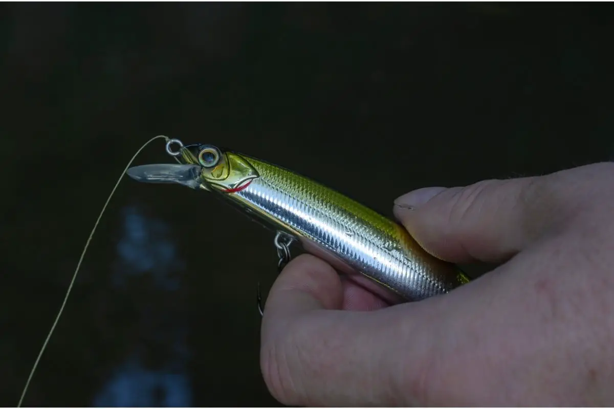 The best way to hook a minnow