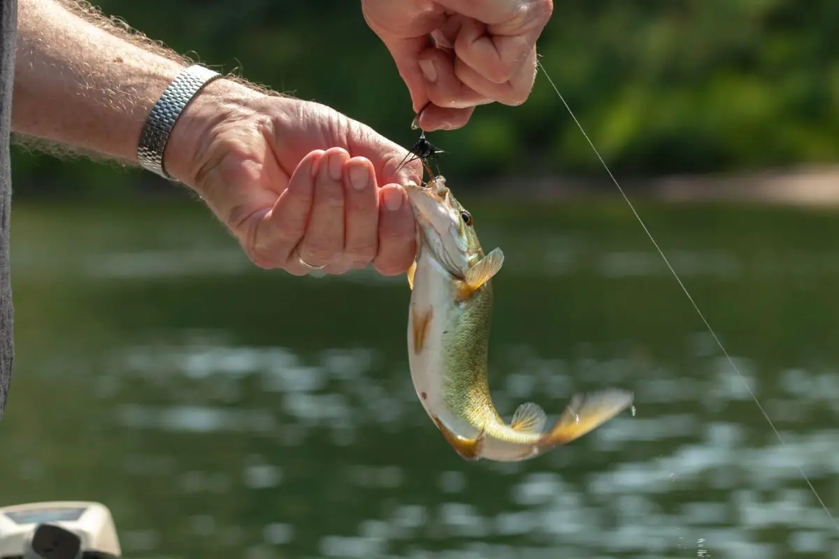 How to unhook a fish safely?