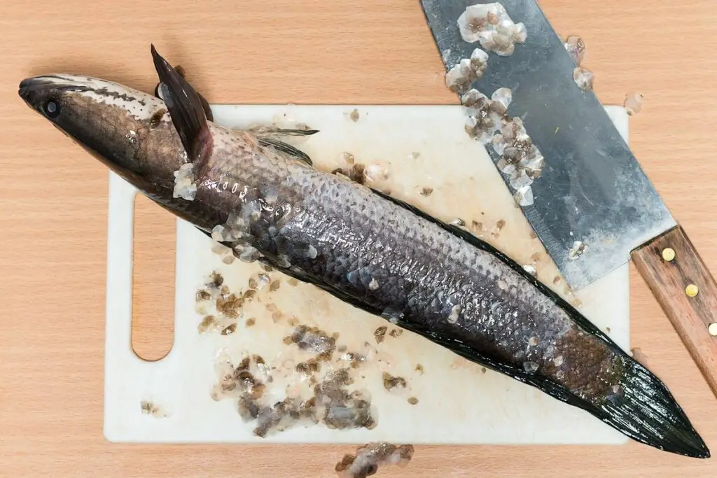How to Easily Gut and Scale a Whole Fish Fish Scaling Tips