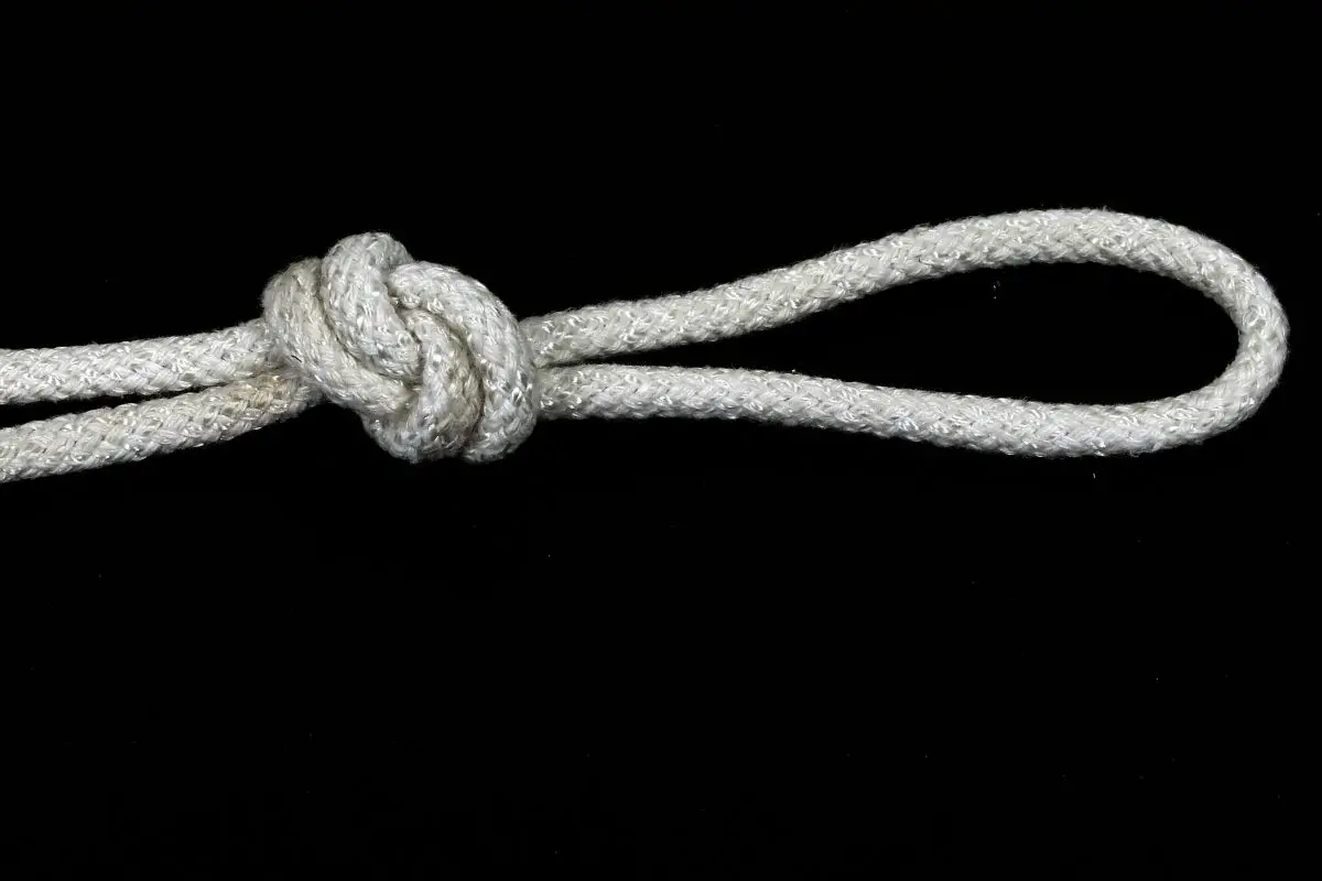 Similar Knots To Consider