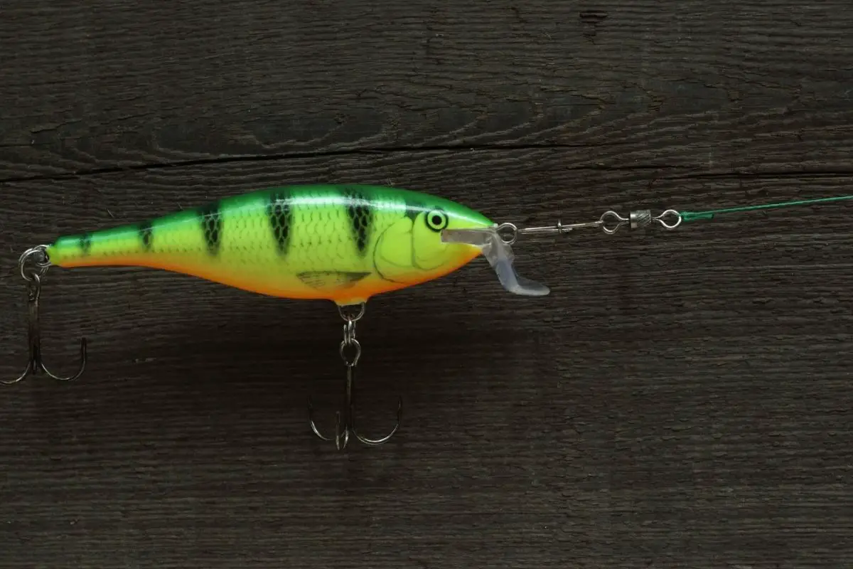 Types Of Crankbaits