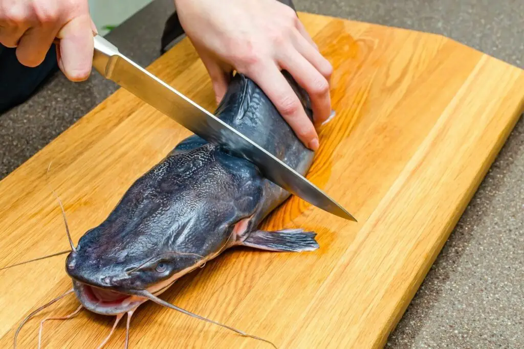 How to Clean Catfish the Easy Way The Best Way to Skin and Clean Catfish