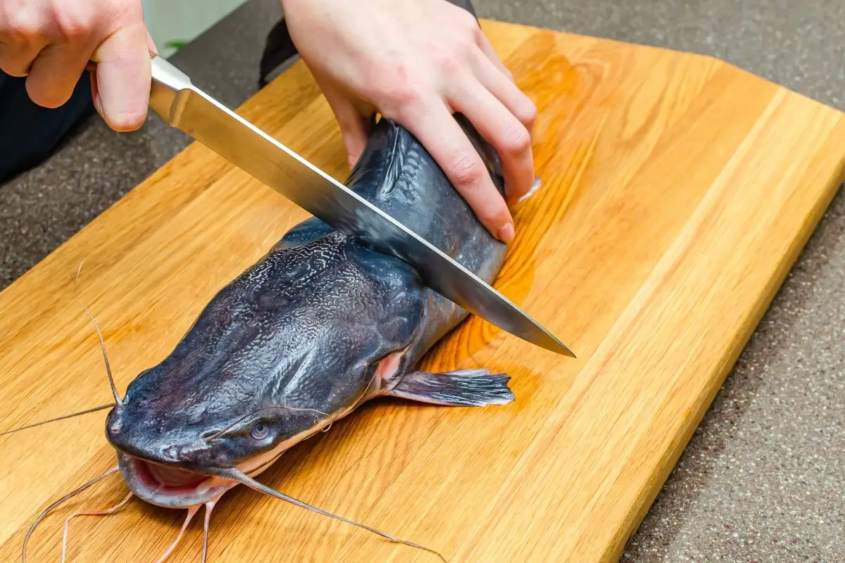 What Is The Best Way To Clean My Catfish 