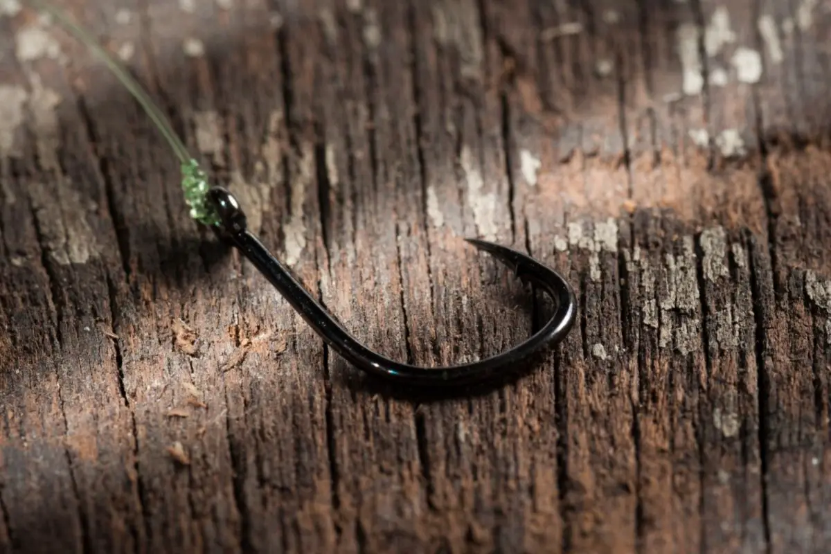  Why is it Important to have a Properly Tied Fishing Hook.